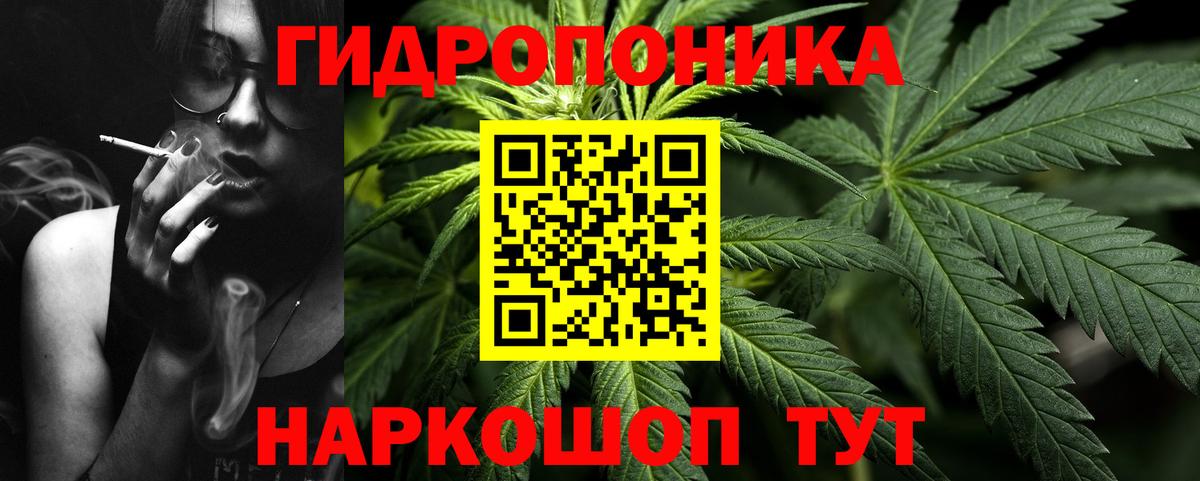 Конопля сатива Советская Гавань